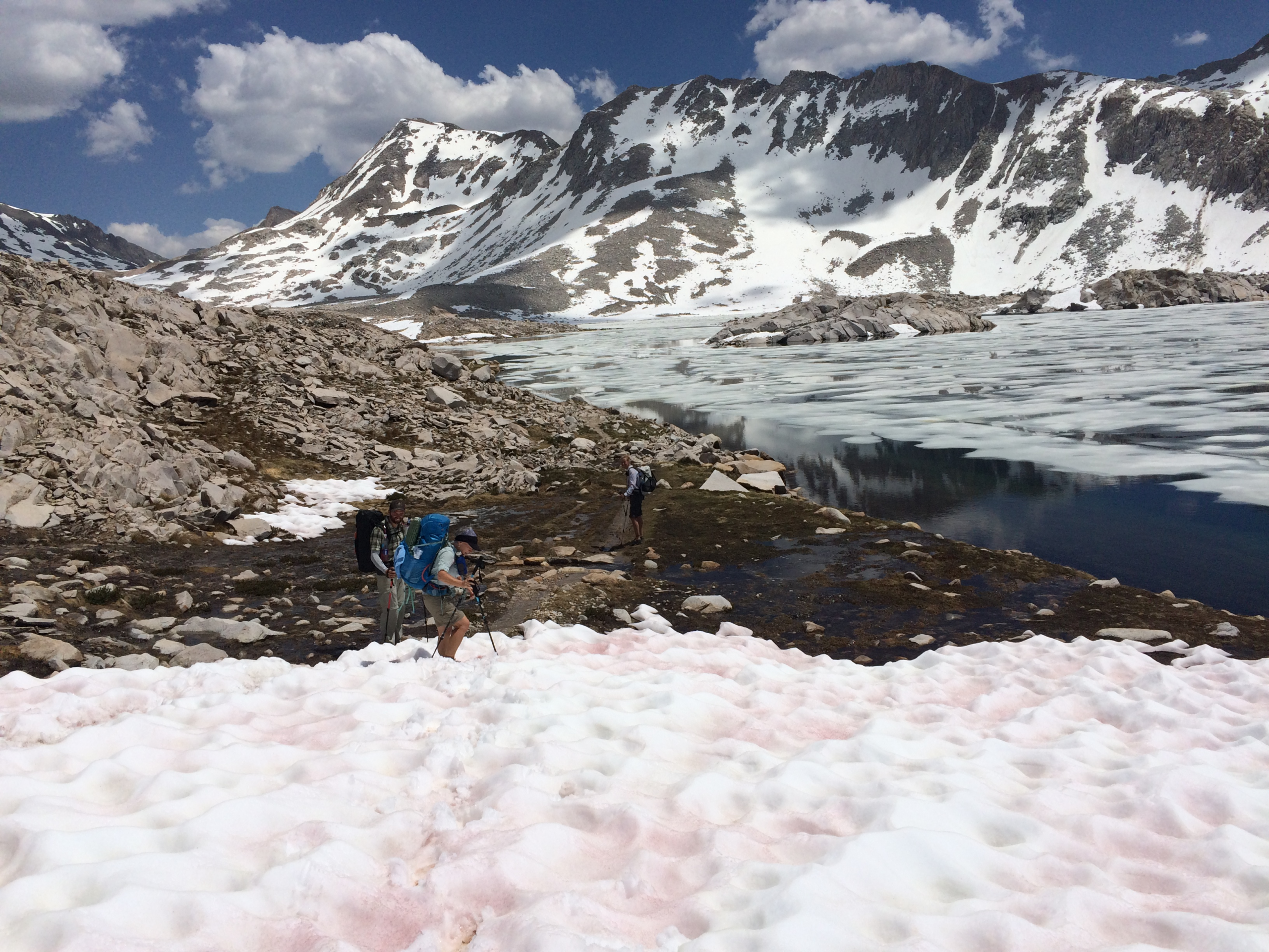 Greybeard Podcast – Trailer