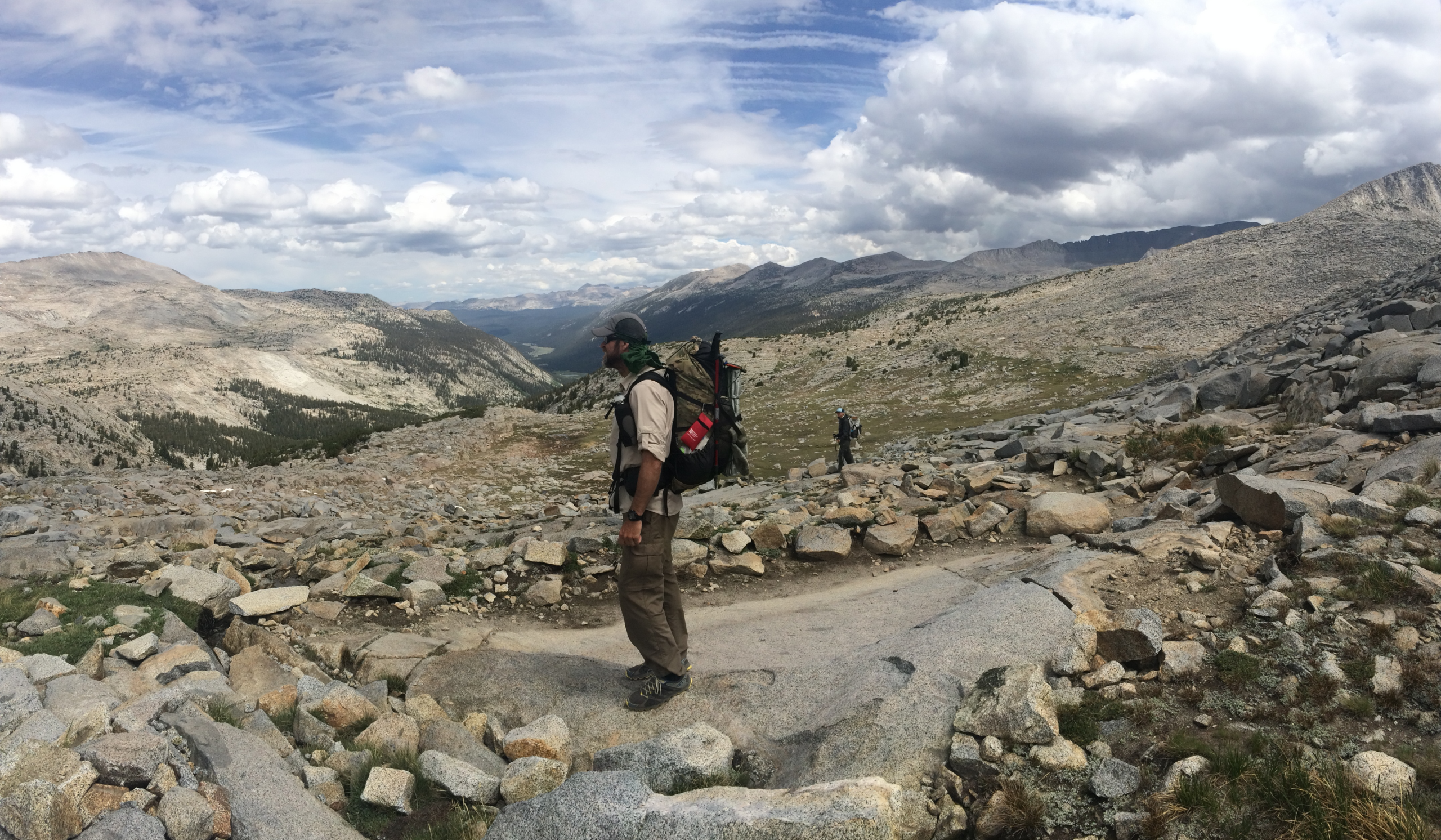 8 – The Everyday Wilderness – the first 30 seconds tell the truth