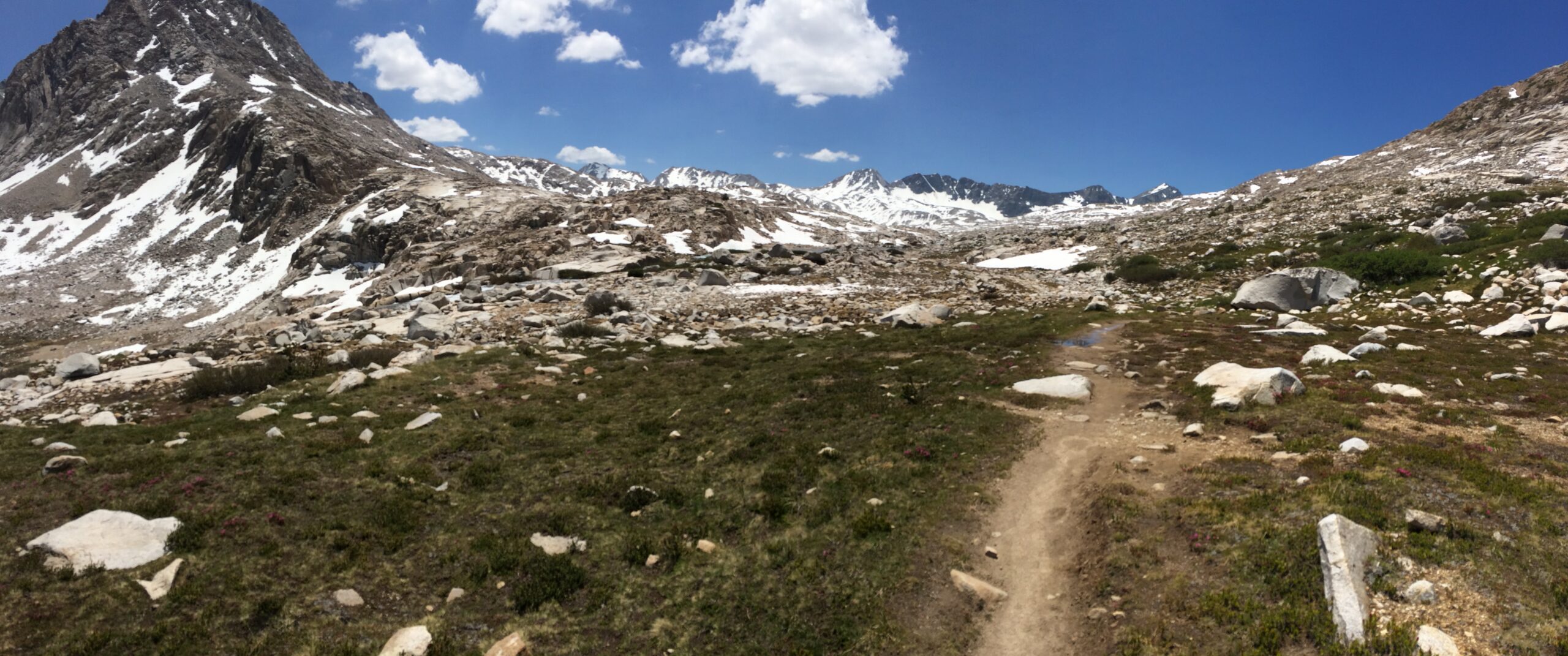 9 – The Wildernesses We Choose: Knowingly or Unknowingly