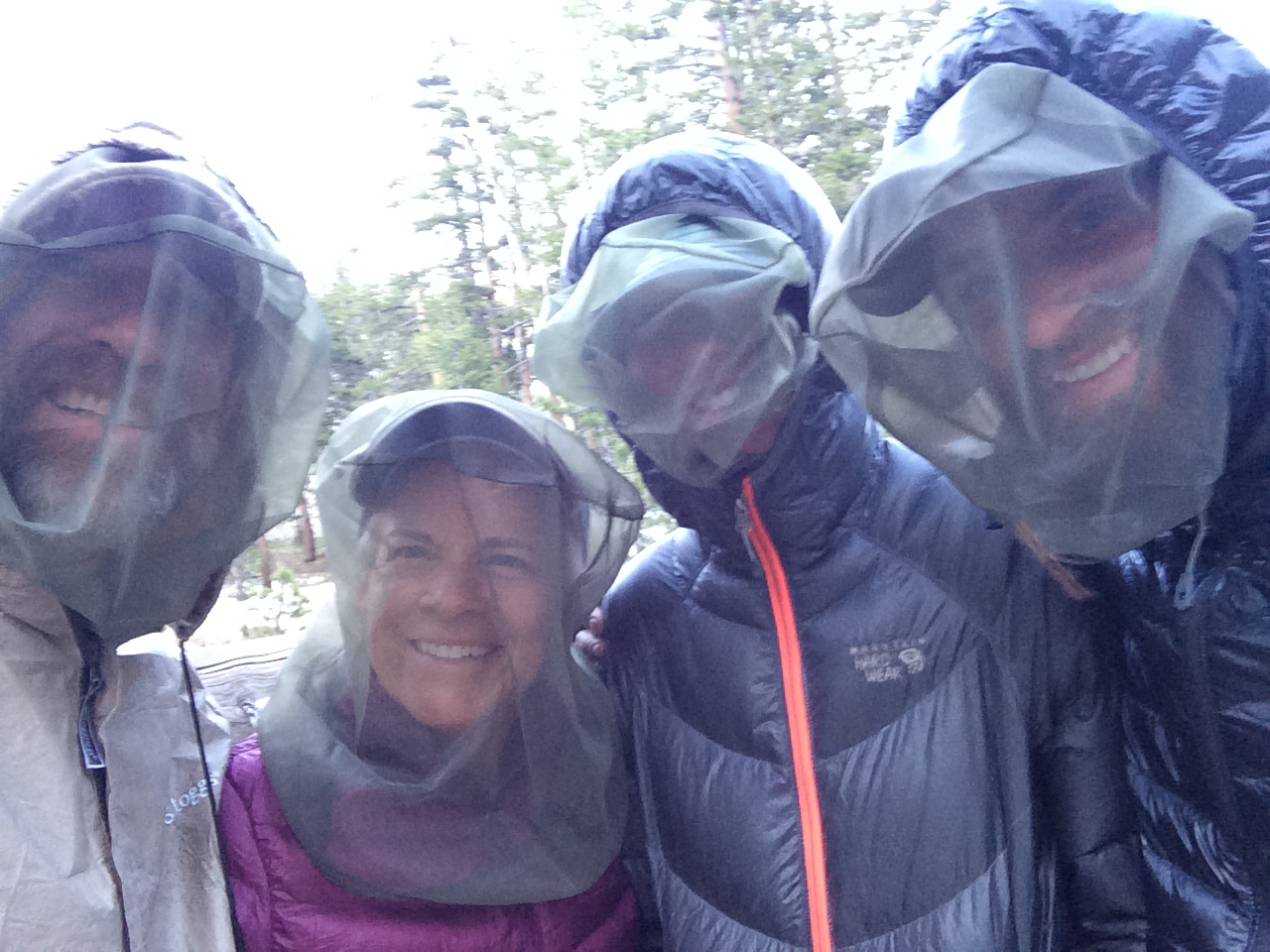 Post 13: The Attention Economy: Of Mosquitoes and Lures – Part 1